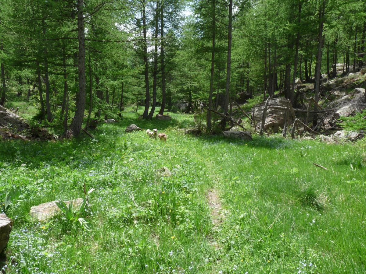 Les Marmottes D Estenc Zewnętrze zdjęcie