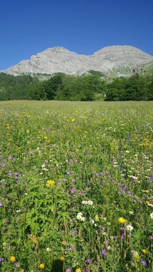 Les Marmottes D Estenc Zewnętrze zdjęcie