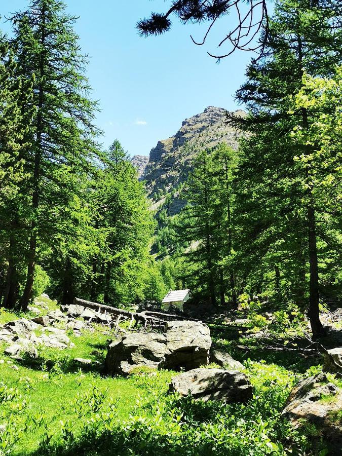 Les Marmottes D Estenc Zewnętrze zdjęcie